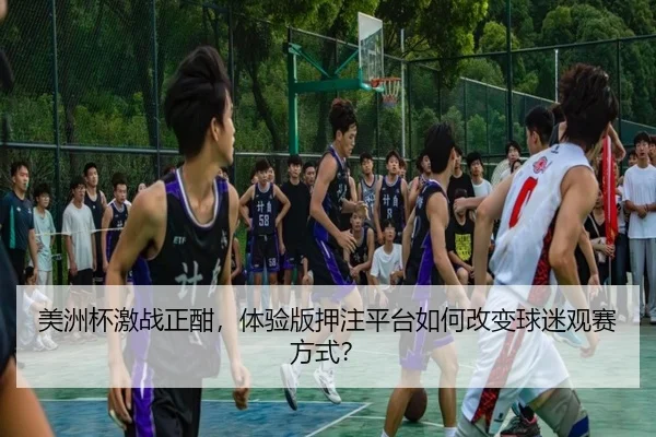 美洲杯激战正酣，体验版押注平台如何改变球迷观赛方式？