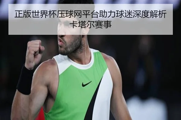 正版世界杯压球网平台助力球迷深度解析卡塔尔赛事