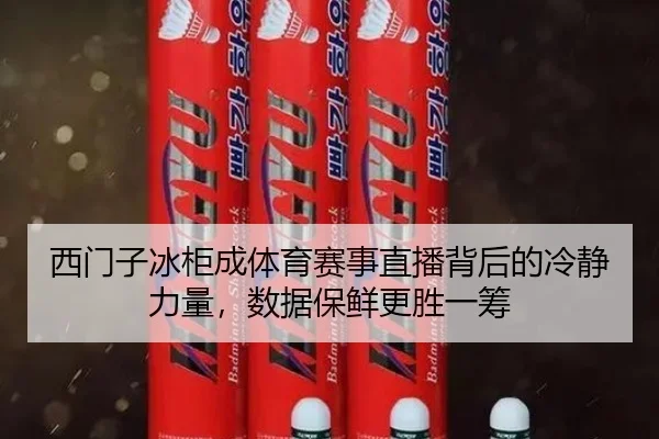 西门子冰柜成体育赛事直播背后的冷静力量，数据保鲜更胜一筹