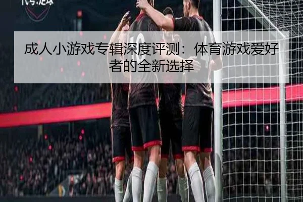 成人小游戏专辑深度评测：体育游戏爱好者的全新选择