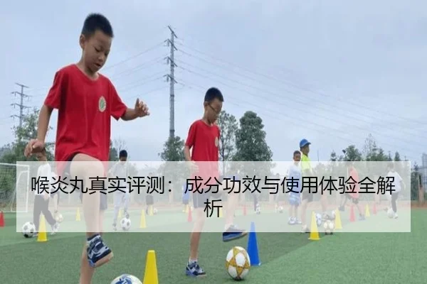 喉炎丸真实评测：成分功效与使用体验全解析