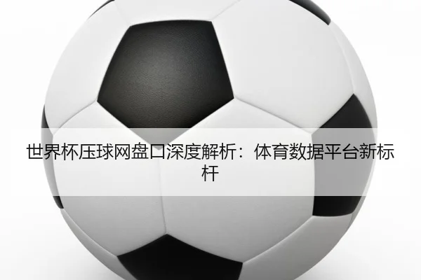 世界杯压球网盘口深度解析：体育数据平台新标杆